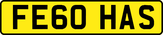 FE60HAS