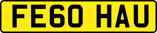 FE60HAU