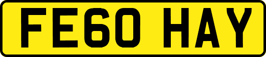 FE60HAY