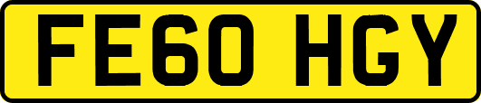 FE60HGY