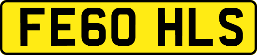 FE60HLS