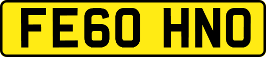 FE60HNO