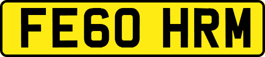FE60HRM