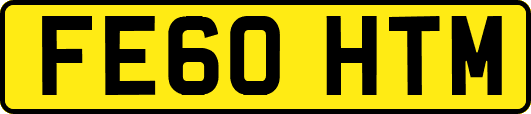 FE60HTM