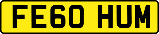 FE60HUM