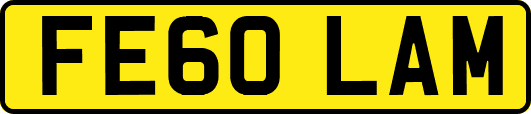FE60LAM