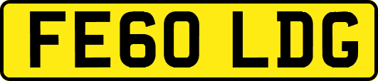 FE60LDG