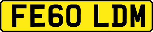 FE60LDM