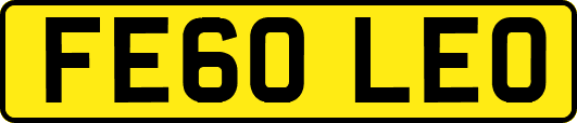 FE60LEO