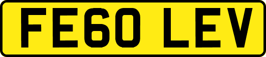 FE60LEV