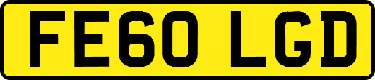 FE60LGD