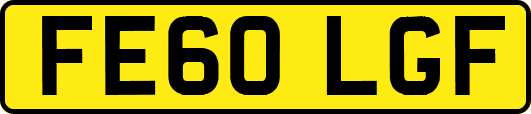 FE60LGF