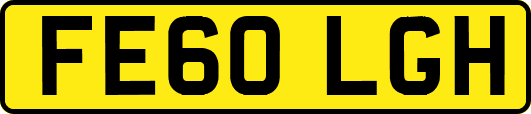 FE60LGH