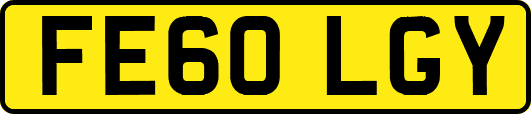FE60LGY