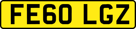 FE60LGZ
