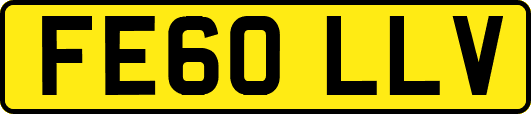 FE60LLV