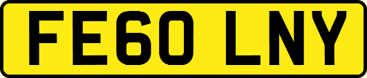 FE60LNY