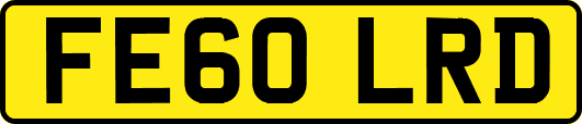 FE60LRD
