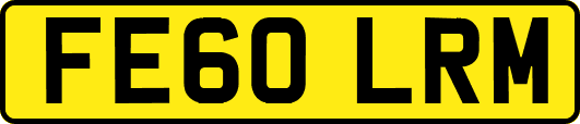 FE60LRM
