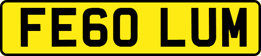 FE60LUM