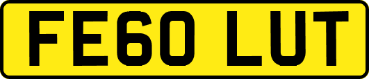 FE60LUT