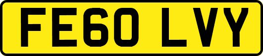 FE60LVY