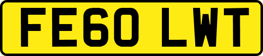 FE60LWT