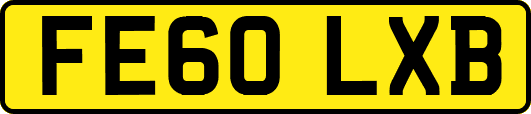 FE60LXB