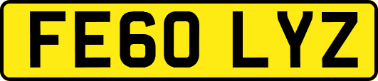 FE60LYZ