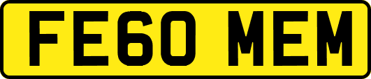 FE60MEM