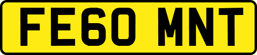 FE60MNT