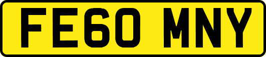 FE60MNY