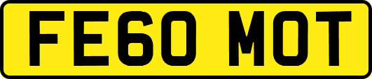 FE60MOT