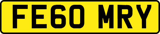 FE60MRY