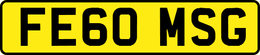 FE60MSG