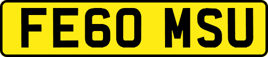 FE60MSU