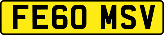 FE60MSV