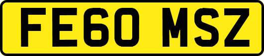 FE60MSZ