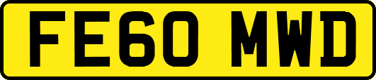 FE60MWD