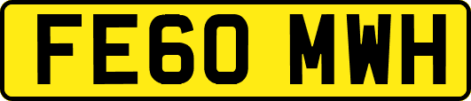 FE60MWH