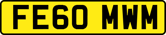 FE60MWM