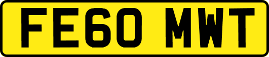 FE60MWT