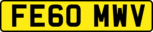 FE60MWV
