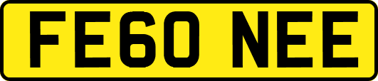 FE60NEE