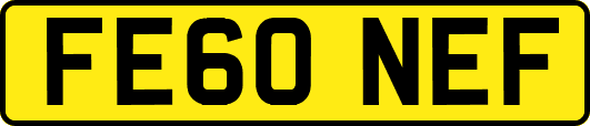 FE60NEF