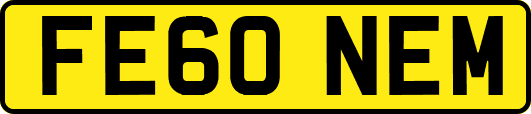 FE60NEM