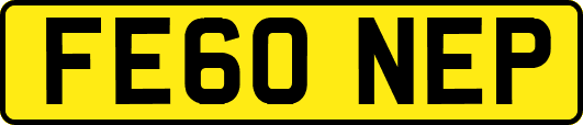 FE60NEP