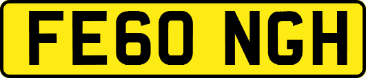 FE60NGH