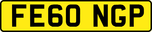FE60NGP