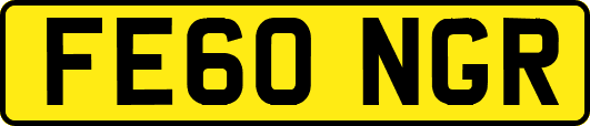FE60NGR